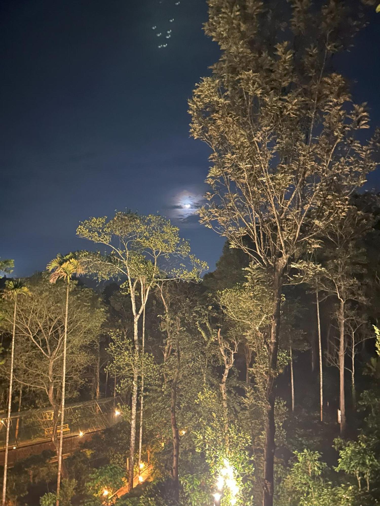 וואיאנאד Sylvan Resort מראה חיצוני תמונה
