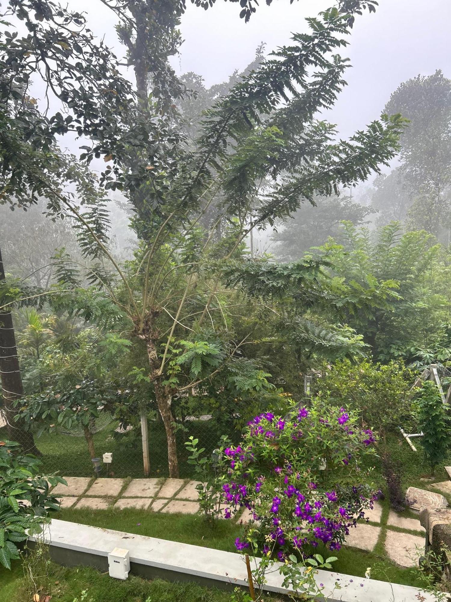 וואיאנאד Sylvan Resort מראה חיצוני תמונה